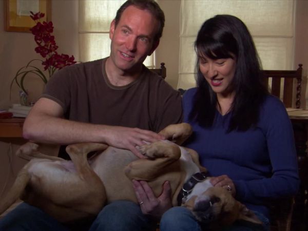 Dog Whisperer with Cesar Millan - Devil Dog