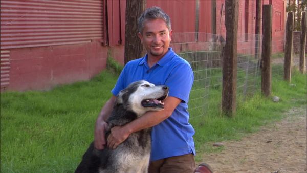 Dog Whisperer with Cesar Millan - Doggie Jekyll & Hyde