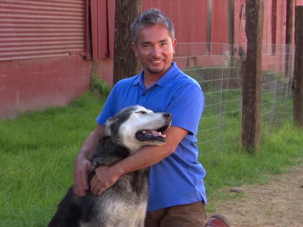 Dog Whisperer with Cesar Millan - Doggie Jekyll & Hyde