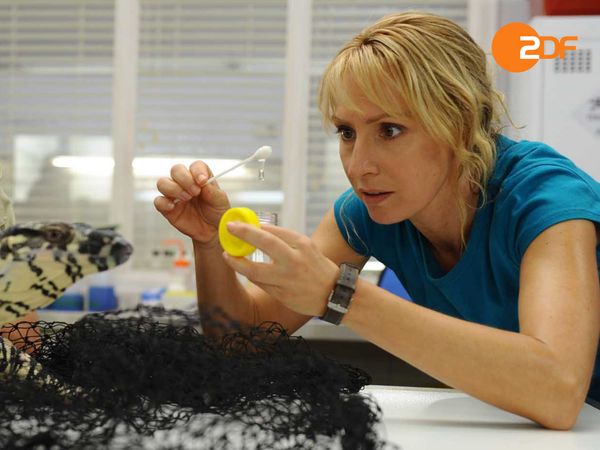 Reef Doctors – Die Inselklinik - Der Steinfisch