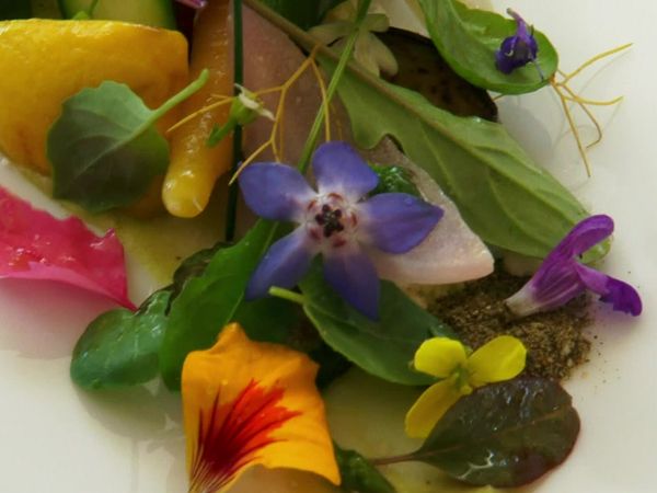 Anthony Bourdain: No Reservations - Australia