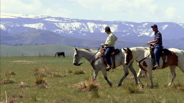 Anthony Bourdain: No Reservations - Montana