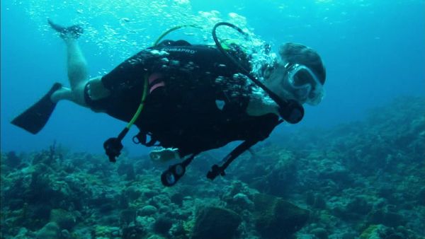 Anthony Bourdain: No Reservations - Caribbean Island Hopping