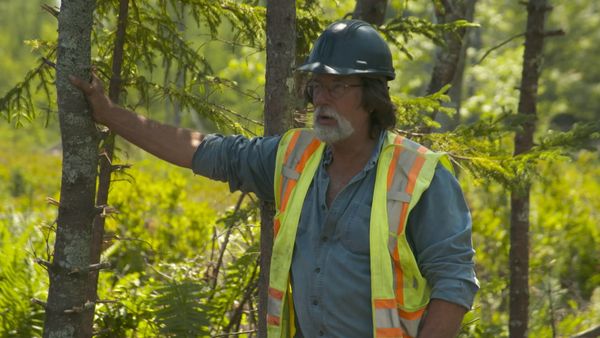 The Curse of Oak Island - Avsnitt 806