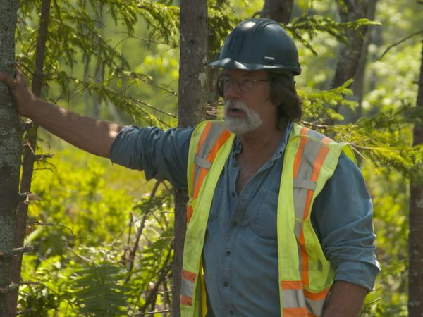 The Curse of Oak Island - Avsnitt 806