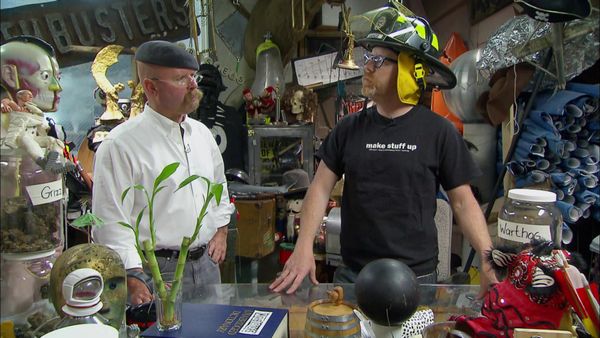 MythBusters - Exploding Bumper