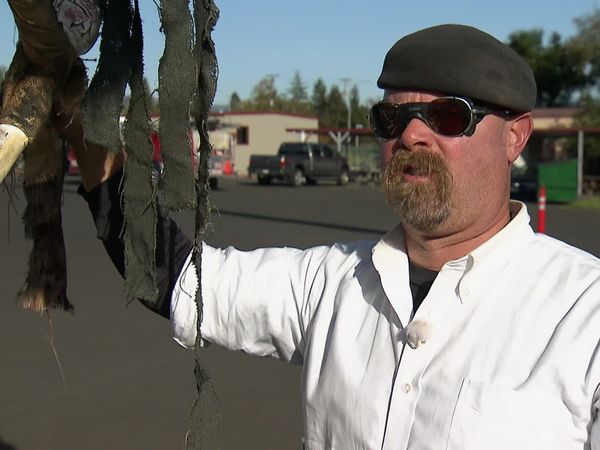 MythBusters - Swinging Pirates