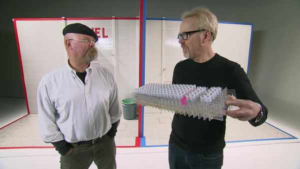 MythBusters - Down and Dirty / Earthquake Survival