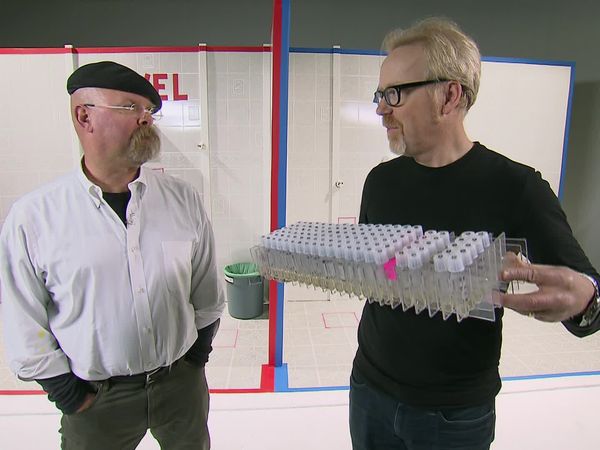 MythBusters - Down and Dirty / Earthquake Survival