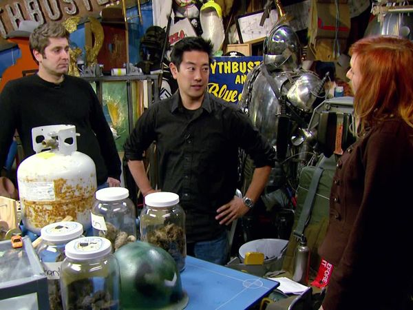 MythBusters - No Pain, No Gain