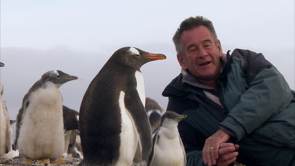 Nigel Marven's Cruise Ship Adventures - An Antarctic Voyage