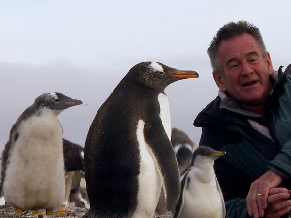 Nigel Marven's Cruise Ship Adventures - An Antarctic Voyage