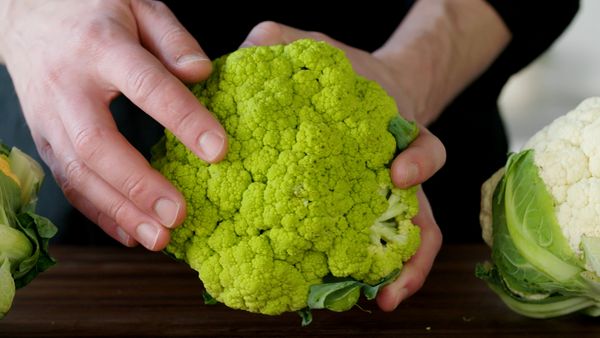 America's Test Kitchen Presents - Garden Variety
