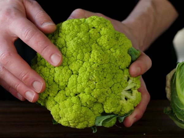 America's Test Kitchen Presents - Garden Variety