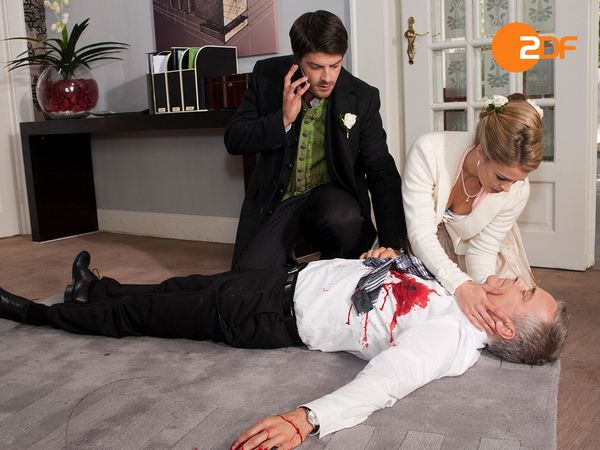 Herzflimmern - Die Klinik am See - Folge 201