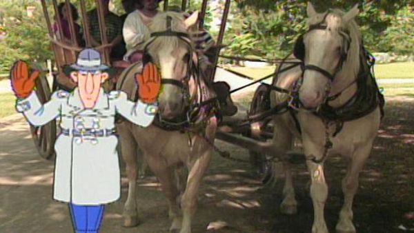 Inspector Gadget's Field Trip - Florida // Colonial Williamsburg