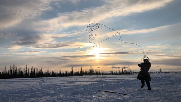 Todd Sampson's Body Hack - Nenet Reindeer Herders of Siberia
