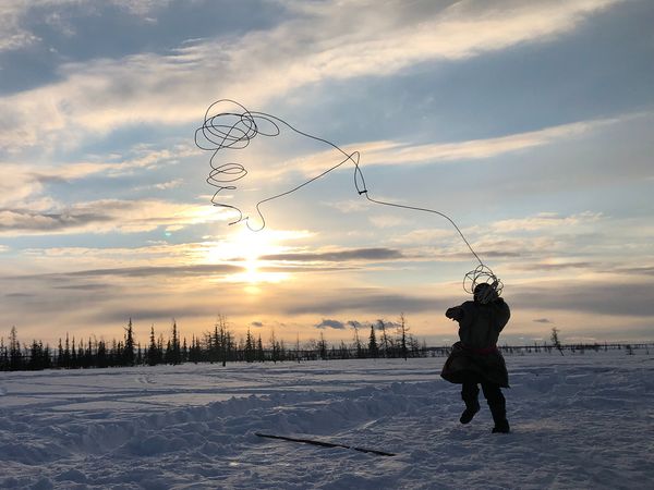 Todd Sampson's Body Hack - Nenet Reindeer Herders of Siberia