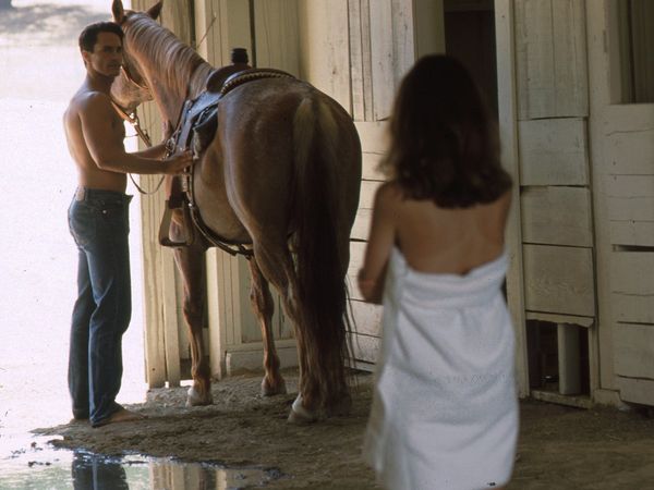 Red Shoe Diaries - Cowboy, Cowboy