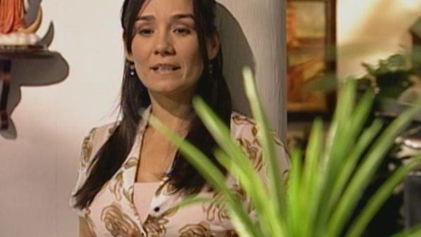 La Trepadora - Episodio 11