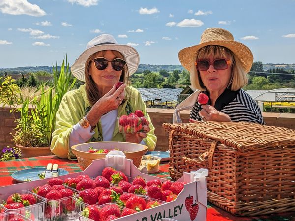 Celebrity Antiques Road Trip - Stephanie Beacham and Amanda Barrie
