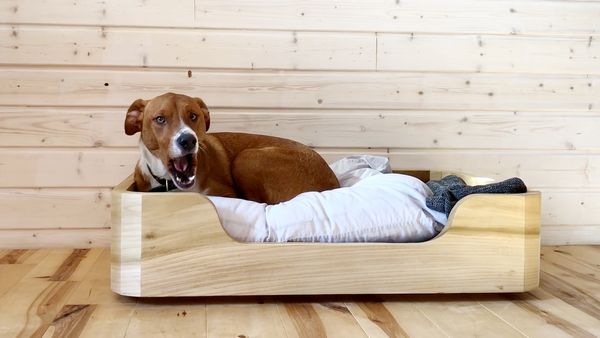 Laura Kampf: This Old House Makers Channel - A Cabinet, Dog Bed, Stool & Shoji Screen Door