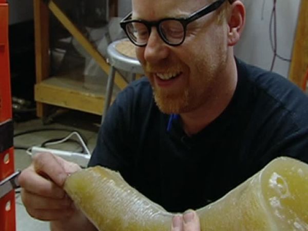 MythBusters - Steel Toe Amputation