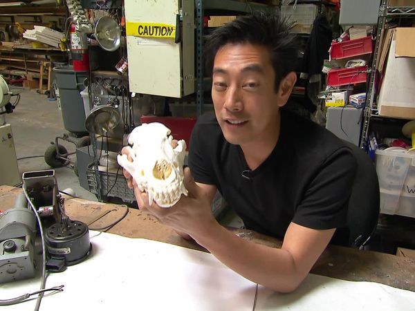 MythBusters - Drain Disaster