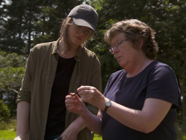 The Curse of Oak Island - Avsnitt 1014