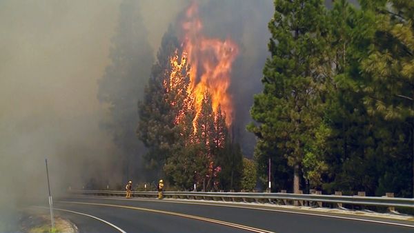 Tierra Feroz - Mega Incendios