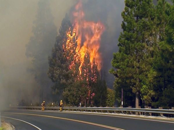 Tierra Feroz - Mega Incendios
