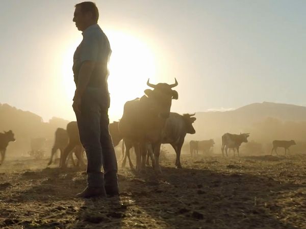 El Dilema del Carnivoro - El Dilema del Carnívoro