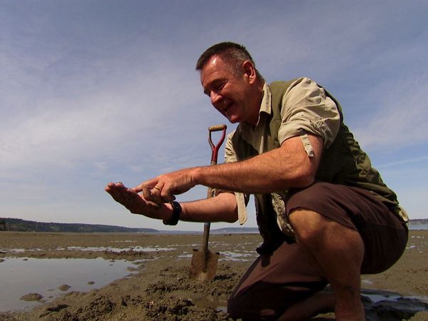 Whale Adventure With Nigel Marven - Swimming with Giants