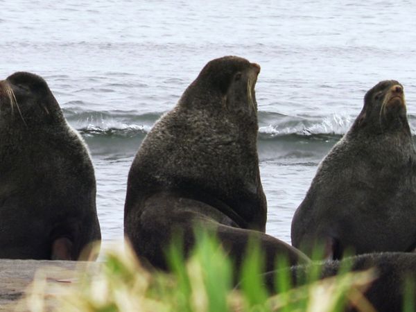 Whale Adventure With Nigel Marven - Journey's End