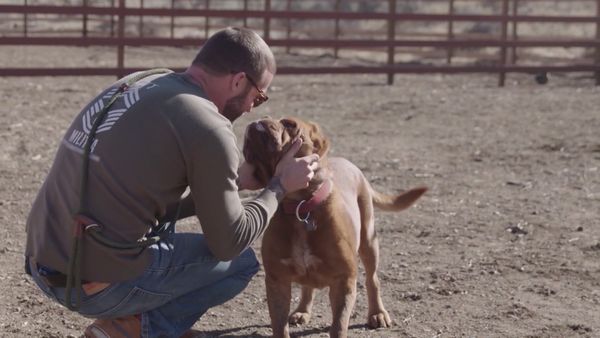 Chicken Soup for the Soul's Animal Tales - Returning the Love