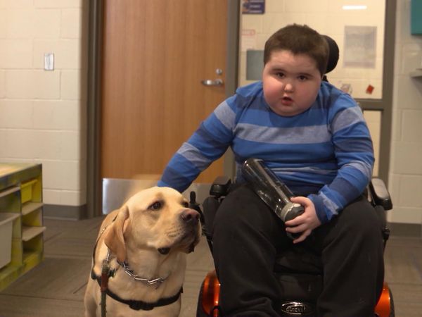 Chicken Soup for the Soul's Animal Tales - Kids, K9s and Kitties