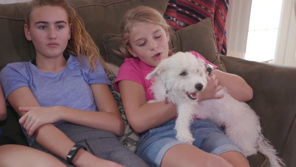 Chicken Soup for the Soul's Animal Tales - Second Chances