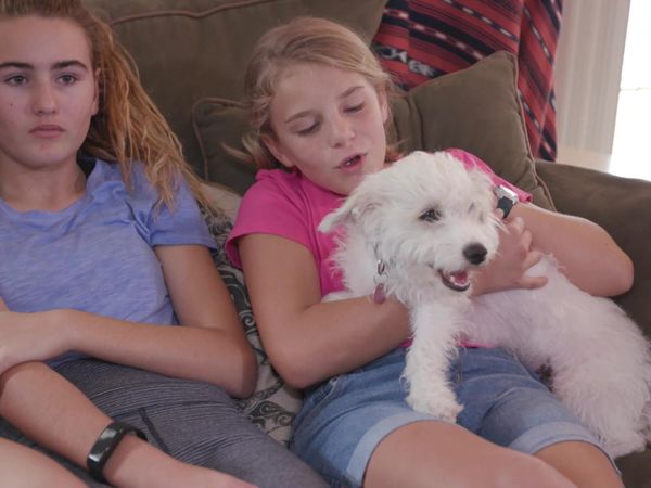 Chicken Soup for the Soul's Animal Tales - Second Chances