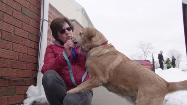 Chicken Soup for the Soul's Animal Tales - Four-Legged Advantage