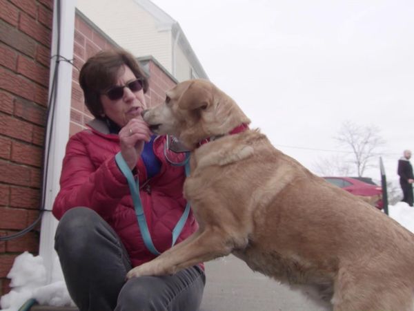 Chicken Soup for the Soul's Animal Tales - Four-Legged Advantage