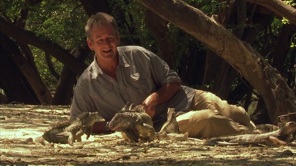 Wild Colombia With Nigel Marven - Creatures of the Caribbean