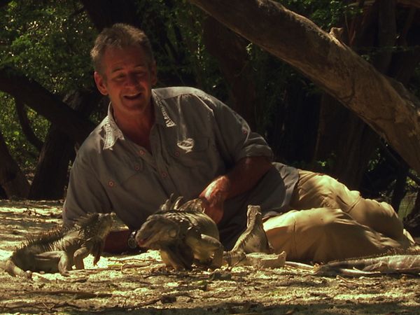 Wild Colombia With Nigel Marven - Creatures of the Caribbean