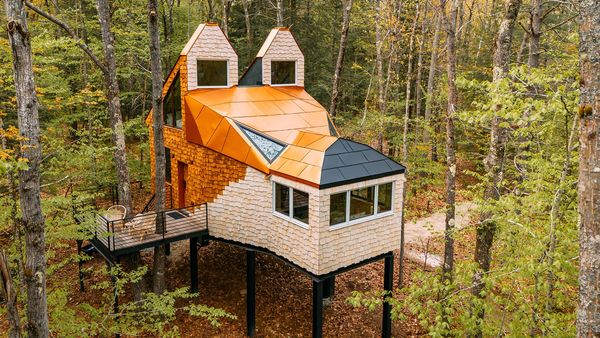 Tiny BNB - Trailblazing Treehouses