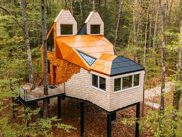 Tiny BNB - Trailblazing Treehouses