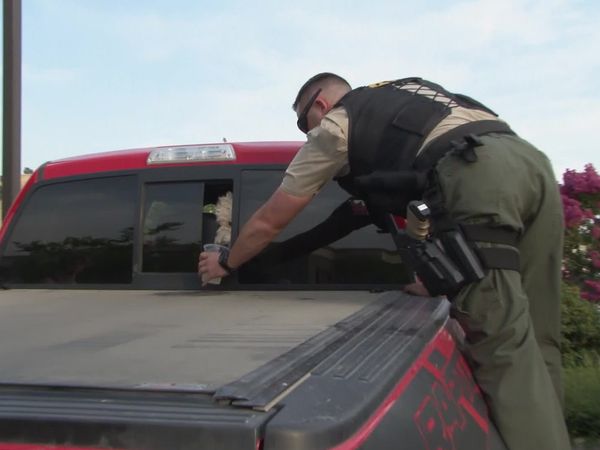 Sheriffs: El Dorado County - Hangtown's Homeless Hobos