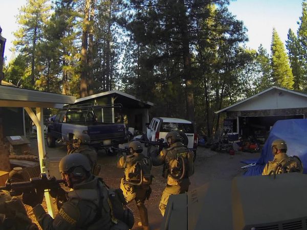 Sheriffs: El Dorado County - Cock Fighters