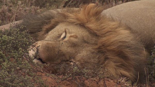 Rudy Maxa's World - South Africa