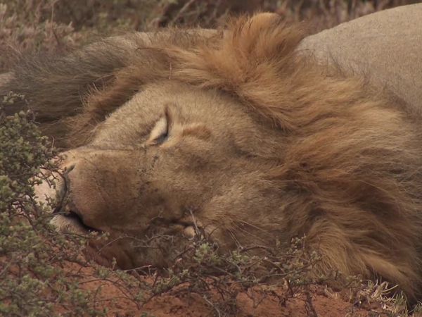 Rudy Maxa's World - South Africa