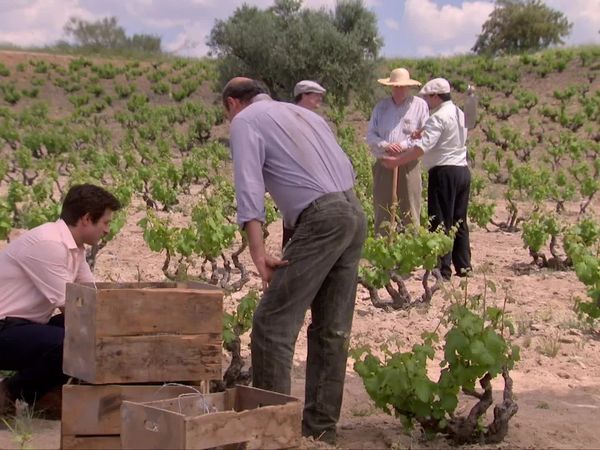 Gran Reserva: El origen - episodio 29