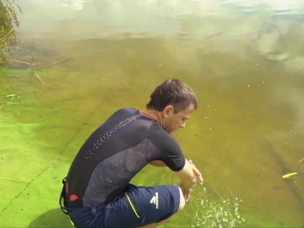 Chiloe Ultratrail - Bélgica, Flandes